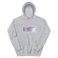 Load image into Gallery viewer, Dutch Guilders Unisex Hoodie